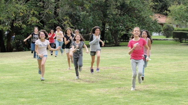  Playing in the countryside 